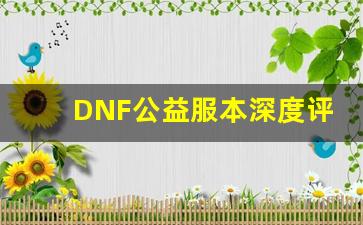 <b>DNF公益服本深度评测，玩家体验如何</b>