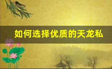 <b>如何选择优质的天龙私服推荐平台</b>