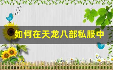 <b>如何在天龙八部私服中实现多开，提升游戏体验</b>