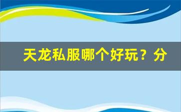 <b>天龙私服哪个好玩？分析热门服务器的优势</b>
