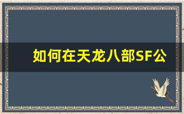 <b>如何在天龙八部SF公益中快速提升战力</b>