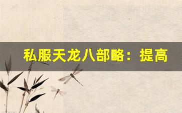 <b>私服天龙八部略：提高战力的必备技巧</b>