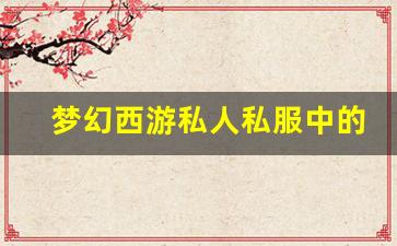 <b>梦幻西游私人私服中的职业选择技巧</b>