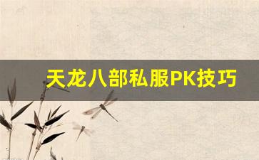 <b>天龙八部私服PK技巧：如何在战斗中占据优势</b>